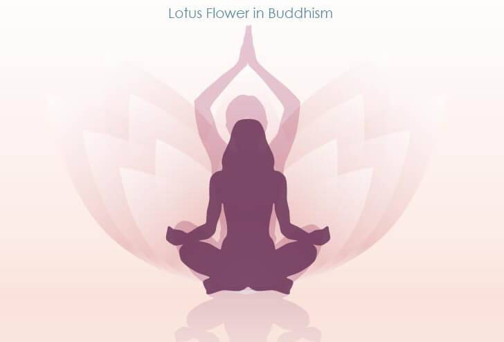 Meditation-Lotus Flower In Buddhism